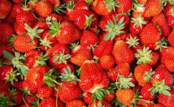 U pick strawberries near me